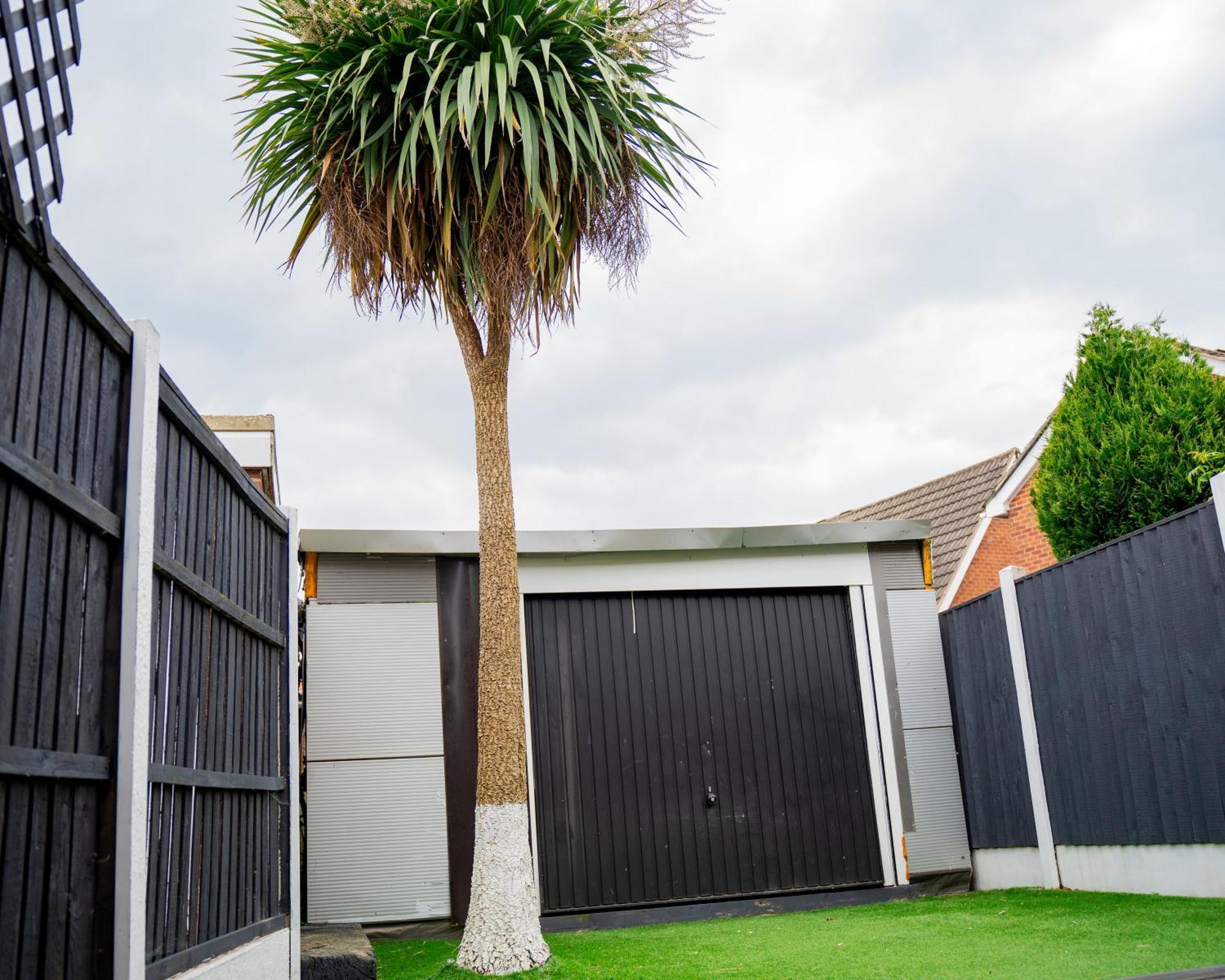 Rent Entire Calmhaven Apartment Nottingham